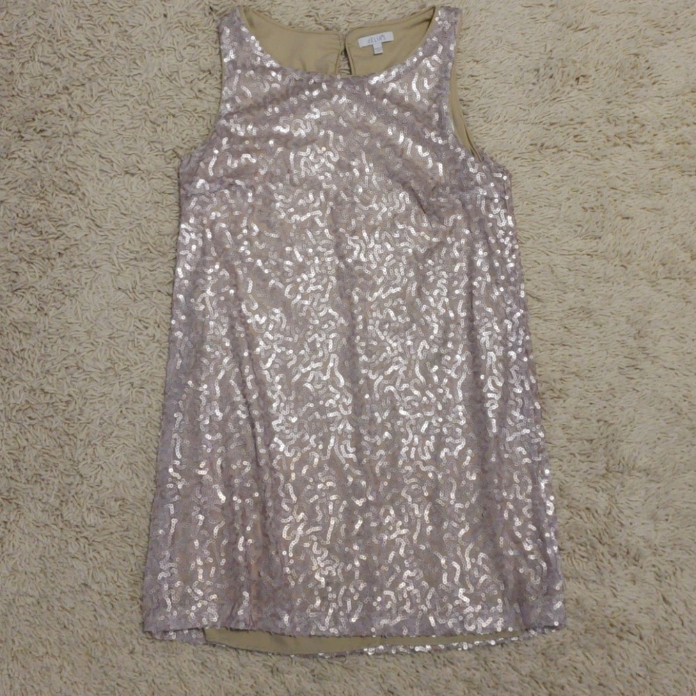 NWOT Blush pink sequin shift dress